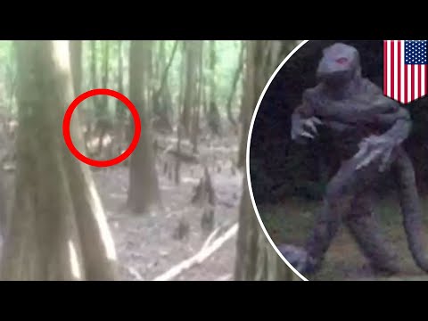 Lizard man